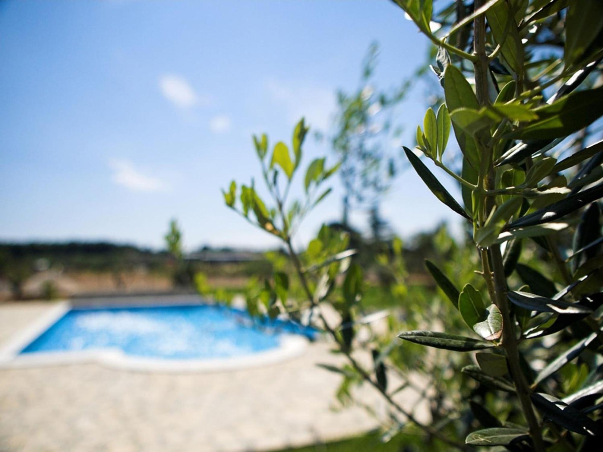 Marceta - Apartments & Rooms With Swimming Pool فاجانا المظهر الخارجي الصورة